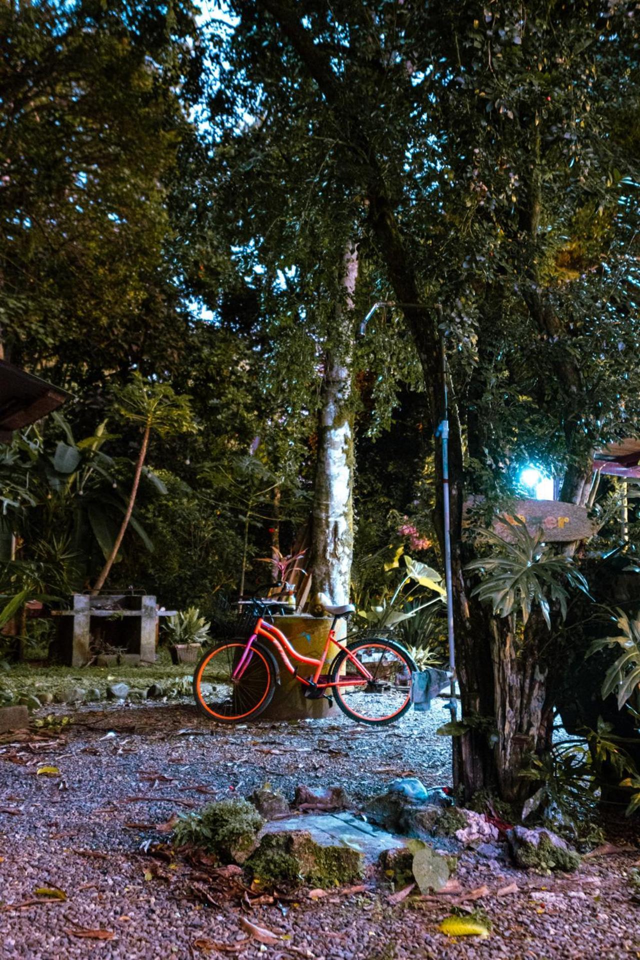Casa Aldirica Hotell Cahuita Eksteriør bilde